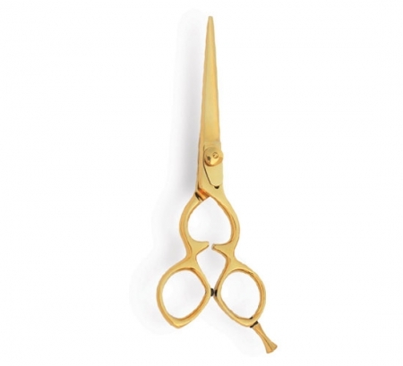 Professional Hair Cutting Scissor